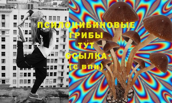 spice Армянск