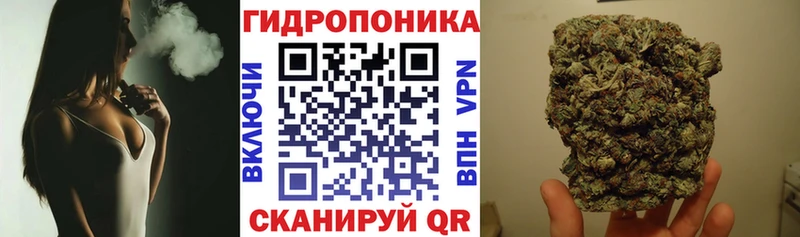 Бошки Шишки индика  продажа наркотиков  Радужный 